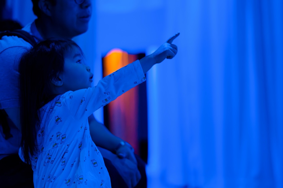 Immersive light-and-color sensory exhibit