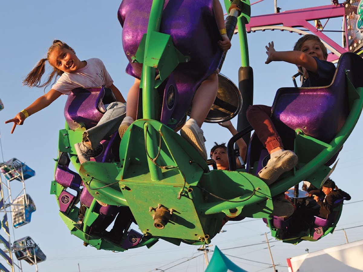 County fair with a rodeo, rides, animals and food