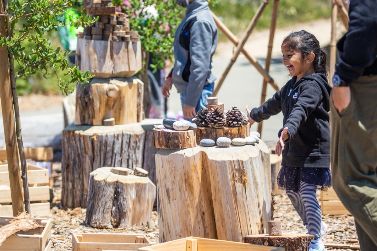 Free citywide nature quest with a sticker-collecting map