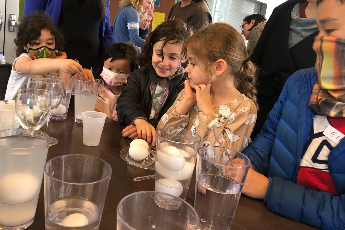 Saturday science drop-in for curious kids
